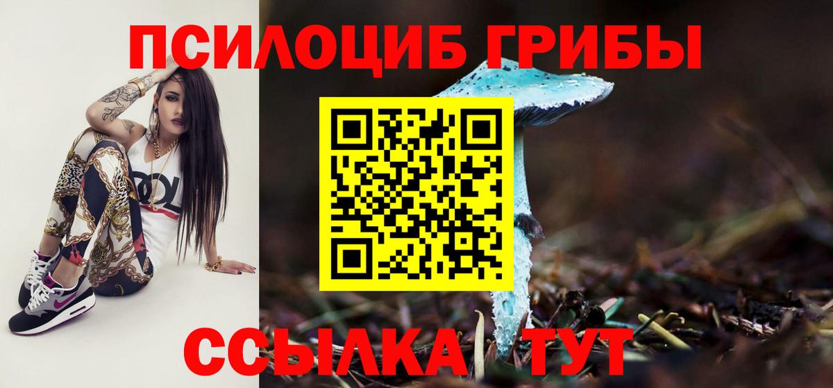 Псилоцибиновые грибы Magic Shrooms  Вход с VPN  Псилоцибиновые грибы MAGIC MUSHROOMS  Йошкар-Ола 